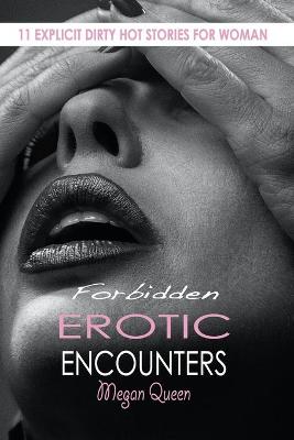 Book cover for Forbidden Erotic Encounters