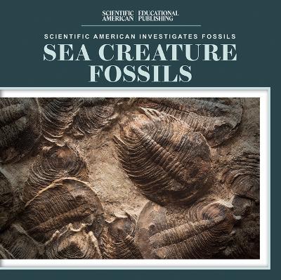 Cover of Sea Creature Fossils