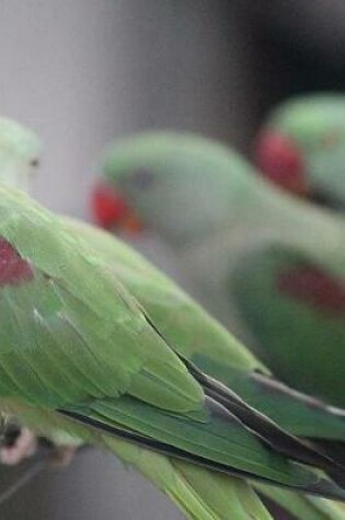 Cover of Indian Ringneck Parrots Notebook