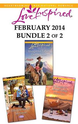 Book cover for Love Inspired February 2014 - Bundle 2 of 2