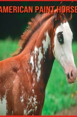 Cover of American Paint Horse