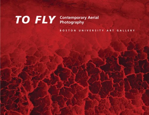 Book cover for To Fly