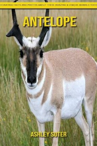 Cover of Antelope