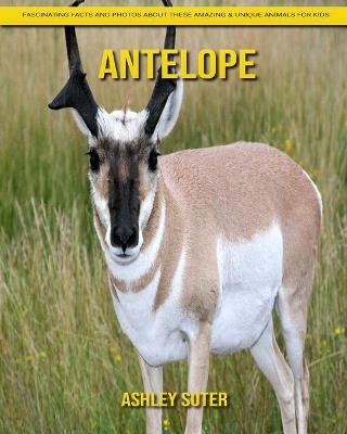 Book cover for Antelope