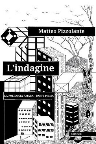 Cover of L'indagine