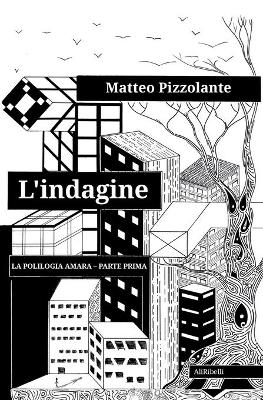 Cover of L'indagine