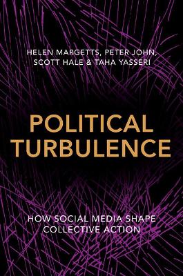 Book cover for Political Turbulence