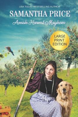 Book cover for Amish Harvest Mayhem LARGE PRINT