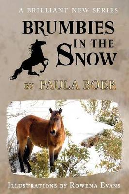 Cover of Brumbies in the Snow