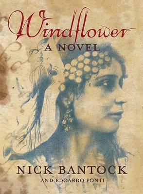 Book cover for Windflower