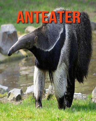 Book cover for Anteater