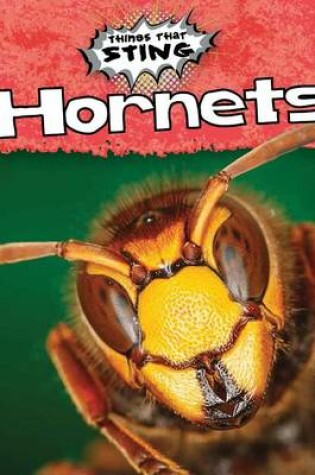 Cover of Hornets