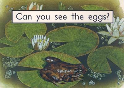 Book cover for Can You See the Eggs?