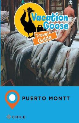 Book cover for Vacation Goose Travel Guide Puerto Montt Chile