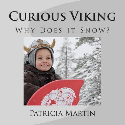 Book cover for Curious Viking