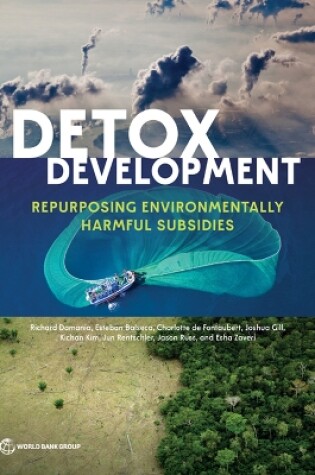 Cover of Detox Development