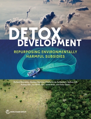 Book cover for Detox Development