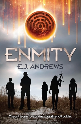 Book cover for Enmity