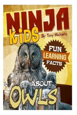 Book cover for Fun Learning Facts about Owls