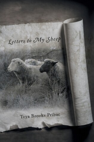 Cover of Letters to My Sheep