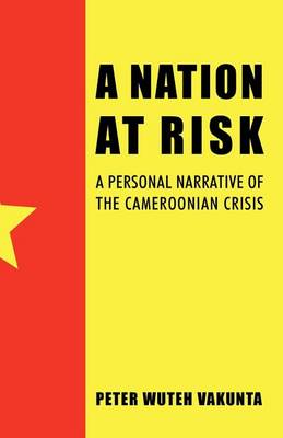 Book cover for A Nation at Risk