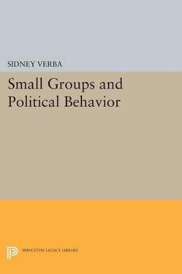 Book cover for Small Groups and Political Behavior