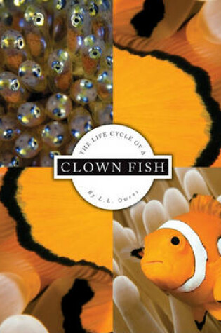 Cover of The Life Cycle of a Clown Fish