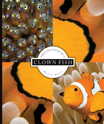 Book cover for The Life Cycle of a Clown Fish