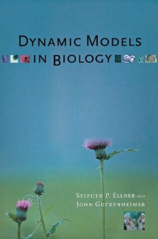 Cover of Dynamic Models in Biology