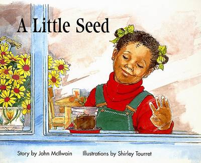 Book cover for A Little Seed