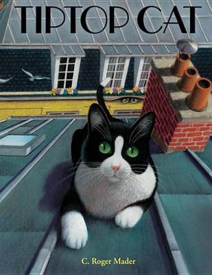 Book cover for Tiptop Cat