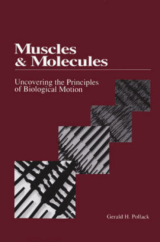Cover of Muscles & Molecules