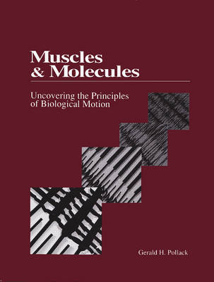 Book cover for Muscles & Molecules