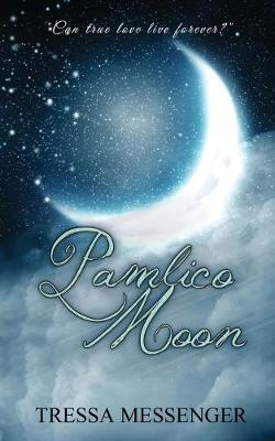 Book cover for Pamlico Moon