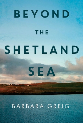 Book cover for Beyond The Shetland Sea