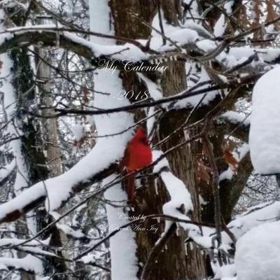 Book cover for My Calendar - 2018 - Red Cardinal Edition