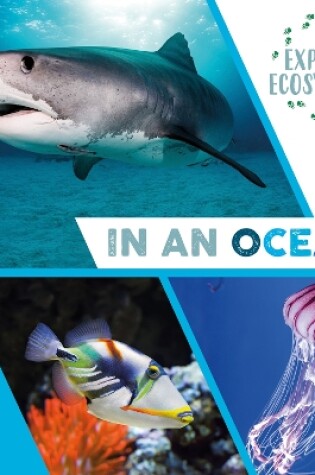 Cover of Explore Ecosystems: In an Ocean