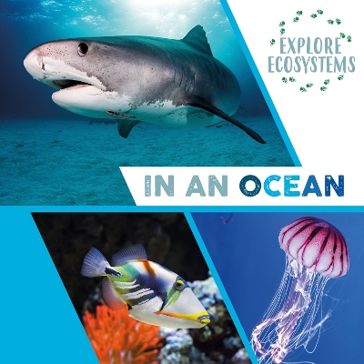 Cover of Explore Ecosystems: In an Ocean