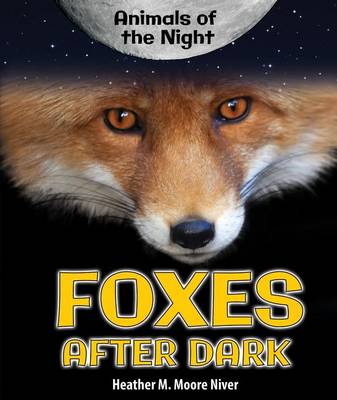 Book cover for Foxes After Dark