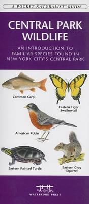 Book cover for Central Park Wildlife