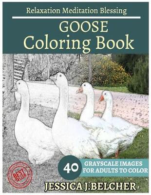 Book cover for Goose Coloring Book for Adults Relaxation Meditation Blessing