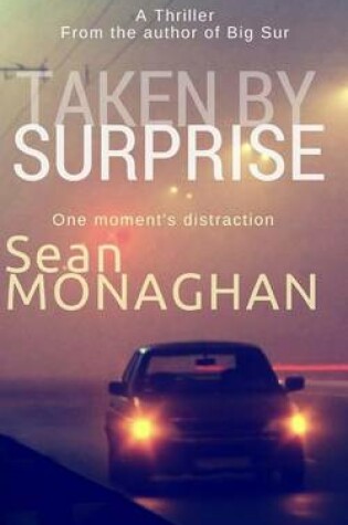 Cover of Taken By Surprise