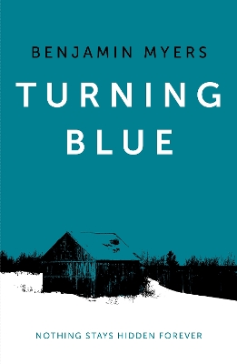 Book cover for Turning Blue