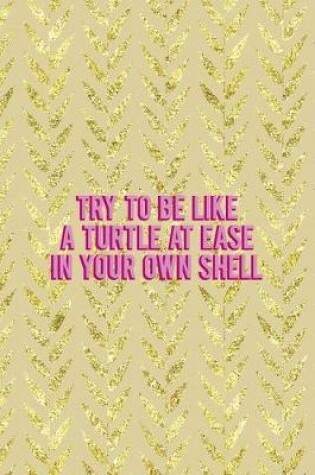 Cover of Try To Be Like A Turtle At Ease In Your Own Shell