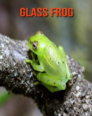 Book cover for Glass Frog