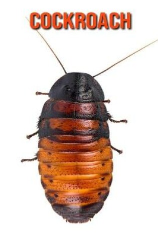 Cover of Cockroach