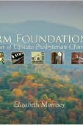 Cover of Firm Foundations