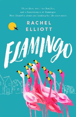 Book cover for Flamingo