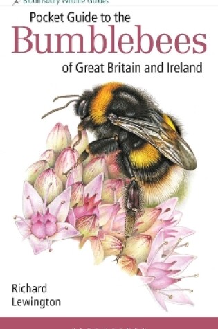 Cover of Pocket Guide to the Bumblebees of Great Britain and Ireland