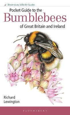 Book cover for Pocket Guide to the Bumblebees of Great Britain and Ireland